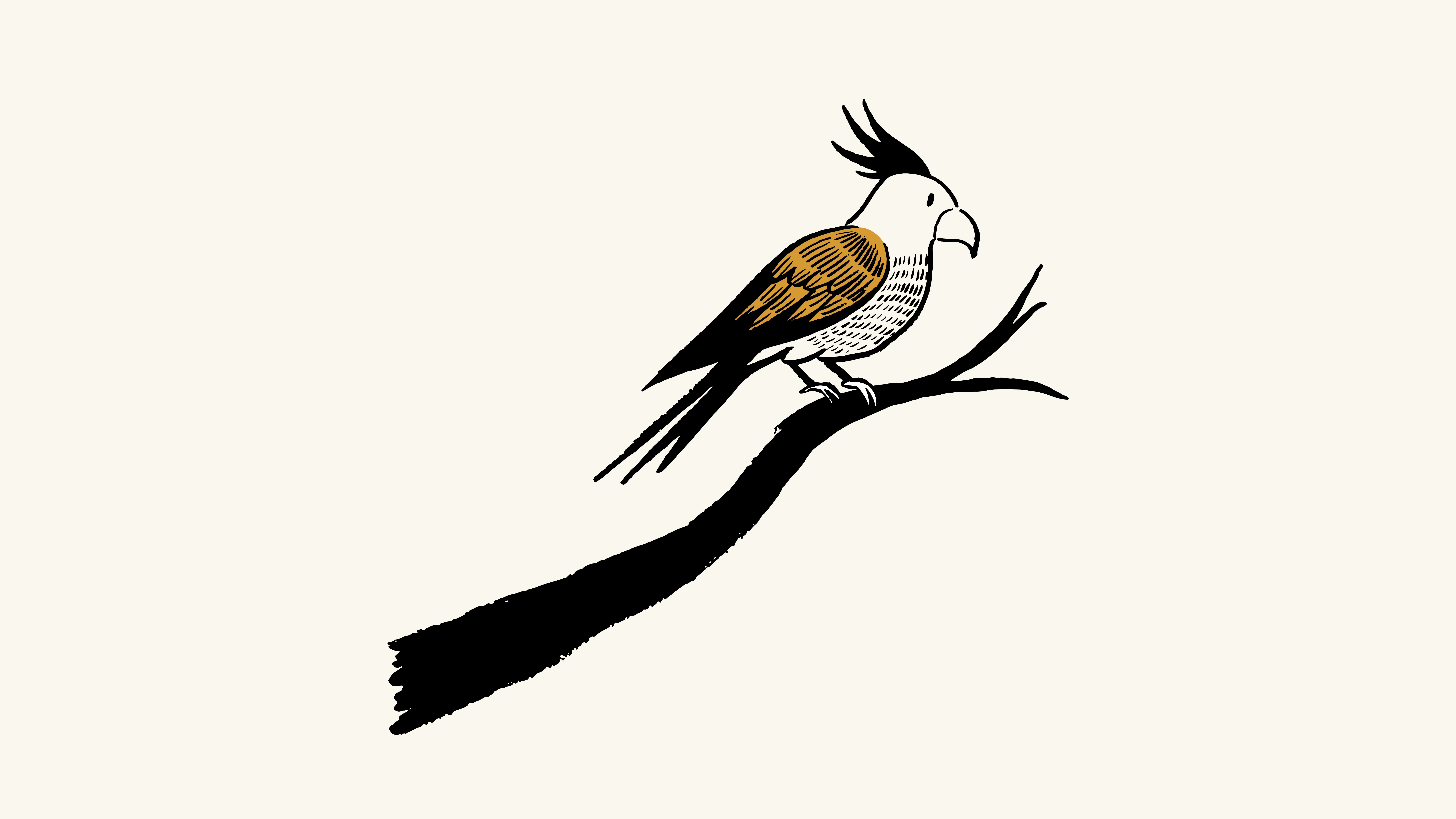 Cockatoo perched on branch