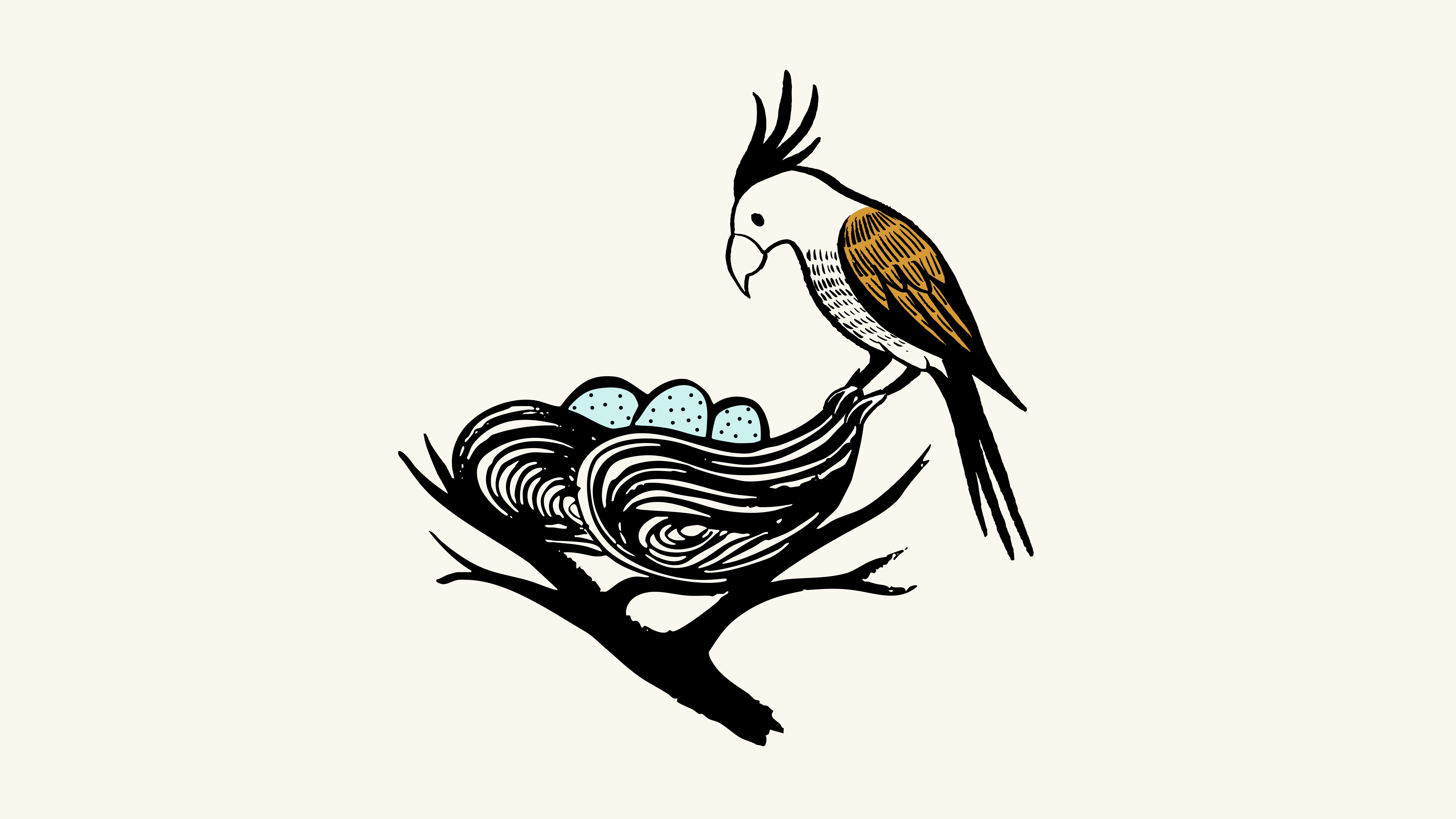 Cockatoo on nest with eggs